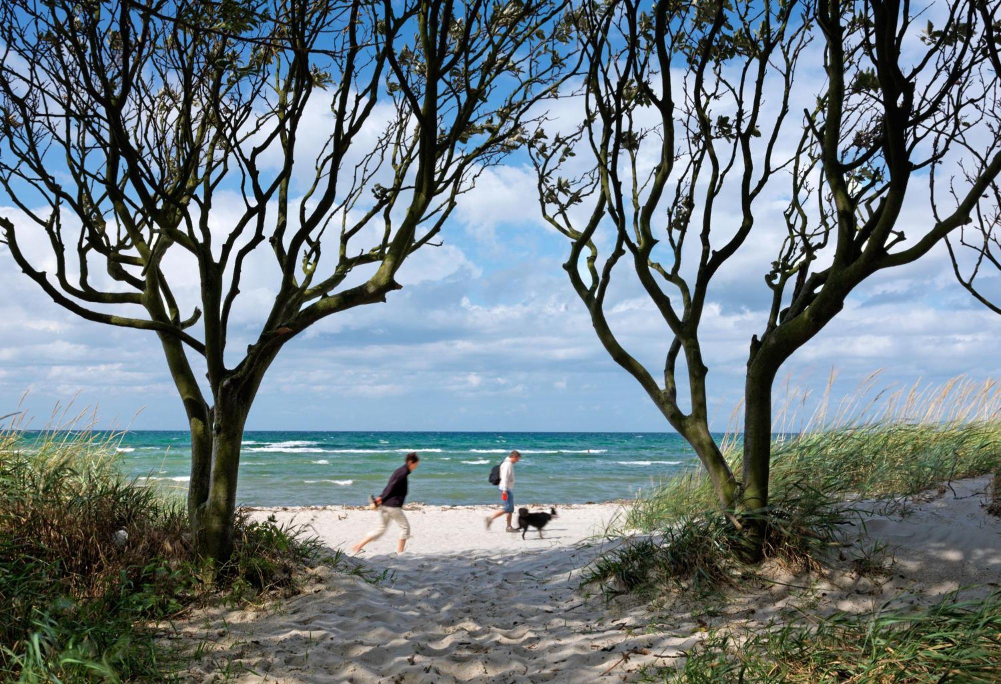 Reetdachhaus Hus Kieker Villa Insel Poel Dış mekan fotoğraf